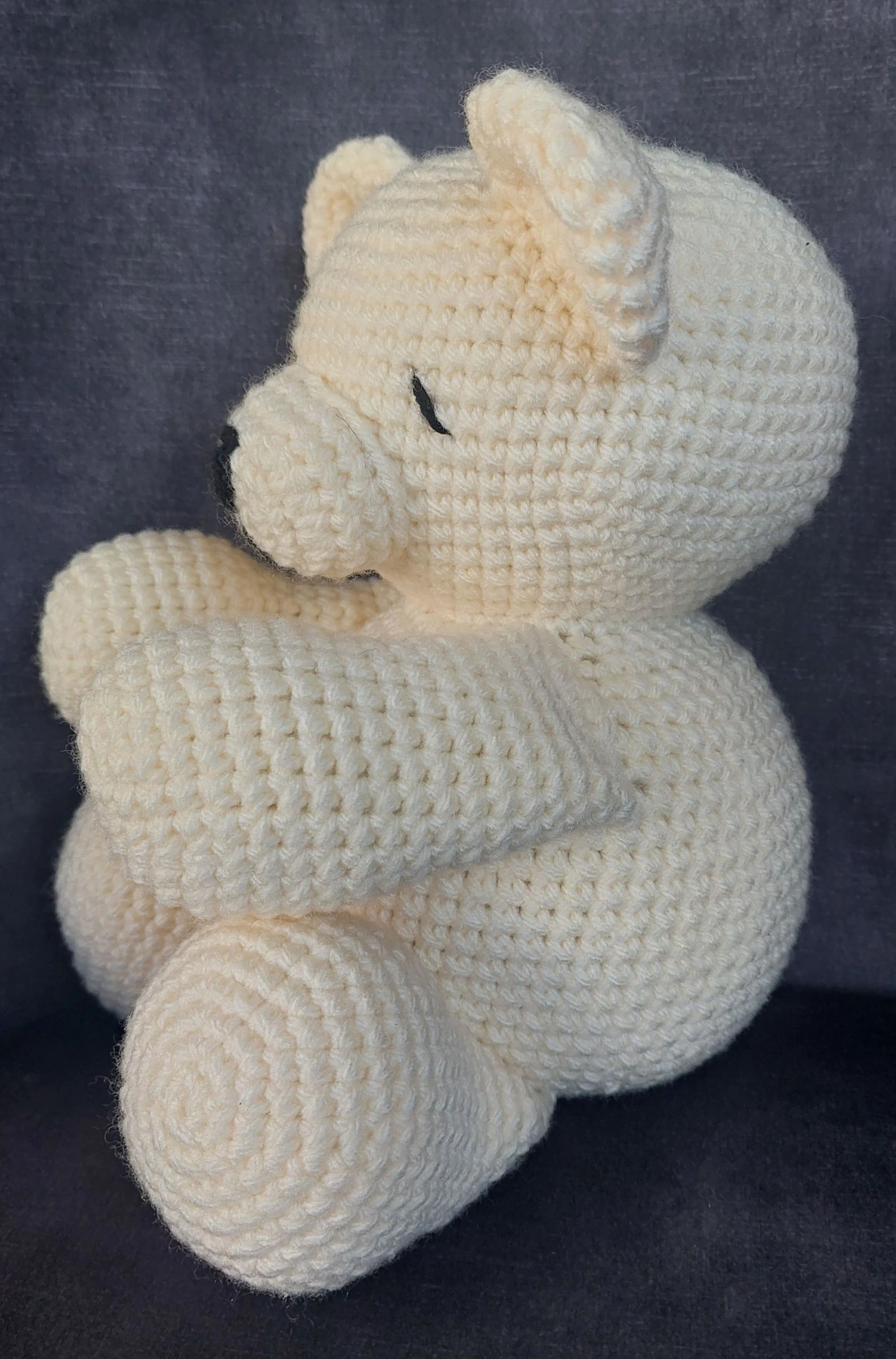 Bear – photo 2